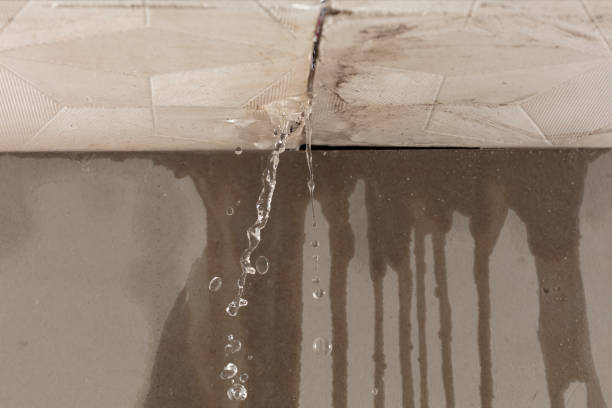 Professional Sewage Cleanup technician working in Cambridge, MN